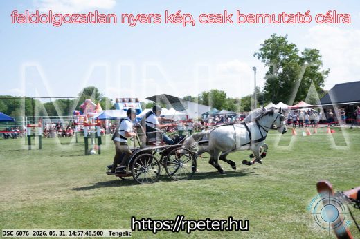 Mintakép 20260531-2869