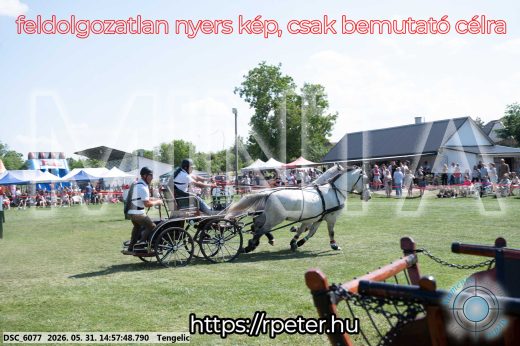Mintakép 20260531-2870