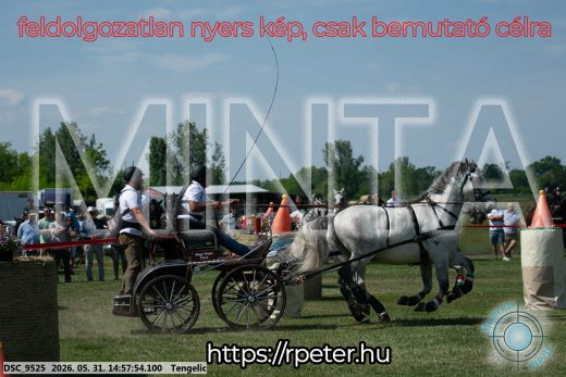 Mintakép 20260531-2872