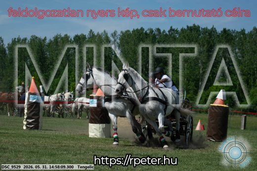 Mintakép 20260531-2874