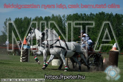 Mintakép 20260531-2875