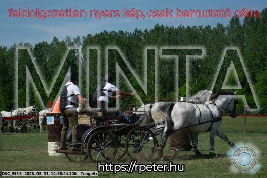 Mintakép 20260531-2877