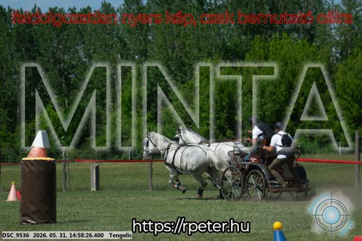 Mintakép 20260531-2878