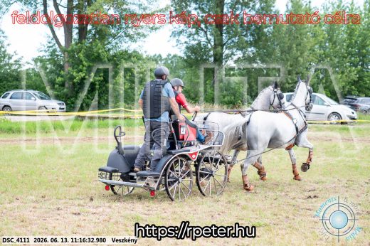 Mintakép 20260613-343