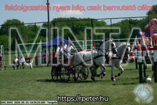 Mintakép 20260531-2881