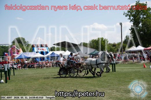 Mintakép 20260531-2882