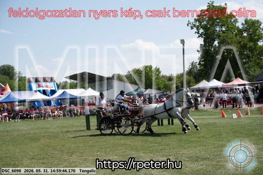 Mintakép 20260531-2883
