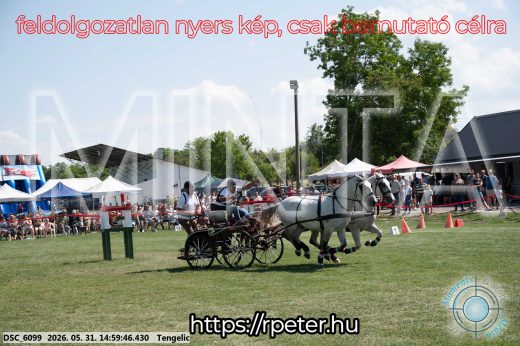 Mintakép 20260531-2884