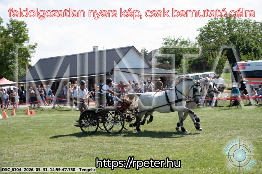 Mintakép 20260531-2887
