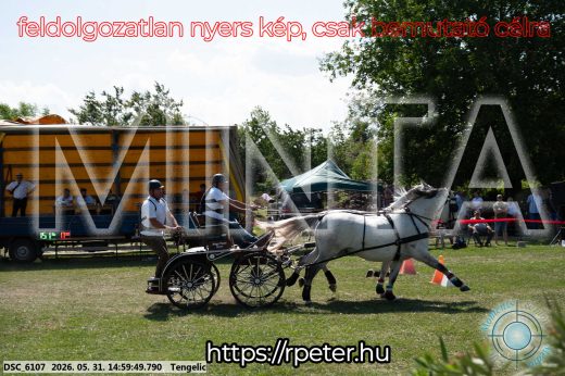 Mintakép 20260531-2888