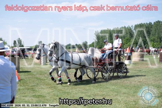 Mintakép 20260531-2889