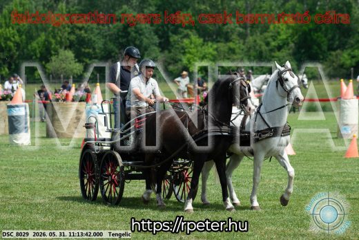 20260531-111342-DSC_8029.jpg
