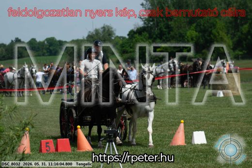 20260531-111604-DSC_8032.jpg