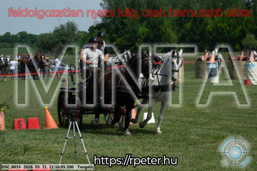 Mintakép 20260531-2893