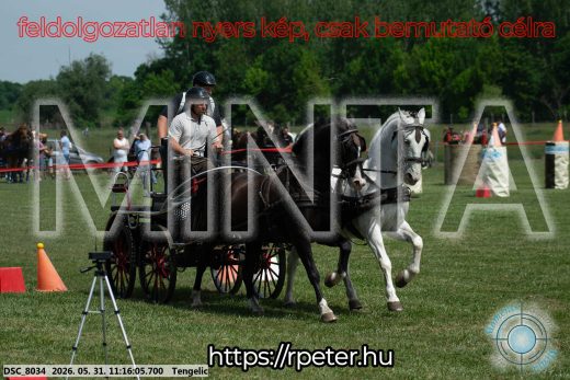 Mintakép 20260531-2894