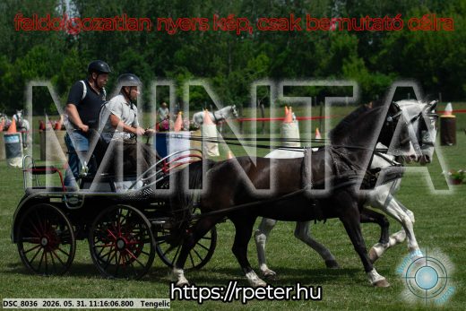 Mintakép 20260531-2896