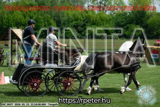 Mintakép 20260531-2897