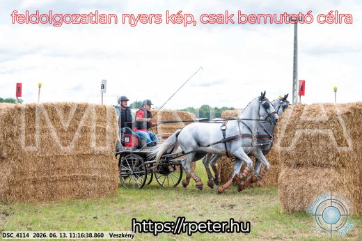 Mintakép 20260613-345