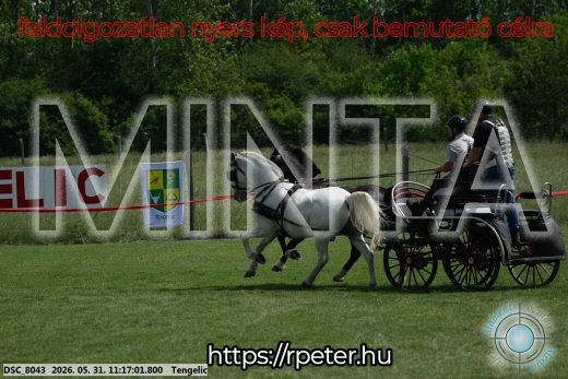Mintakép 20260531-2902