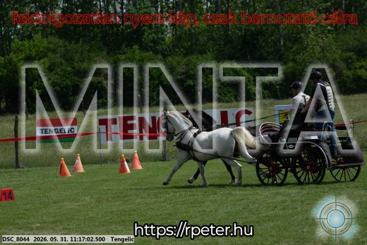Mintakép 20260531-2903