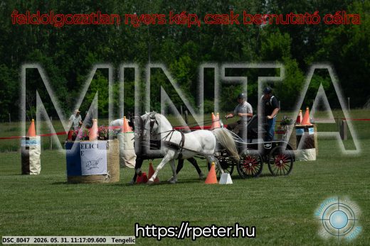 Mintakép 20260531-2905