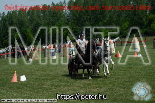 Mintakép 20260531-2906