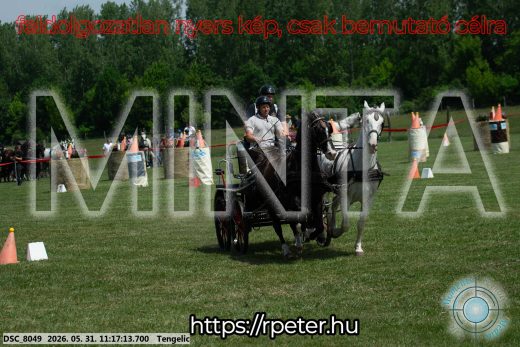 Mintakép 20260531-2907