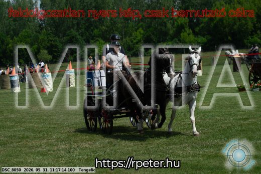 Mintakép 20260531-2908