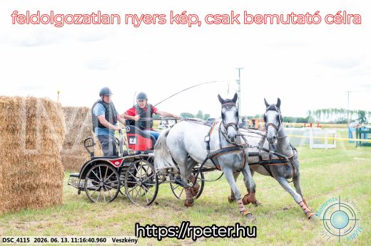 Mintakép 20260613-346