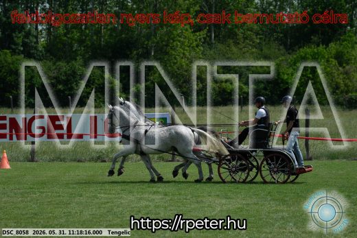 Mintakép 20260531-2913