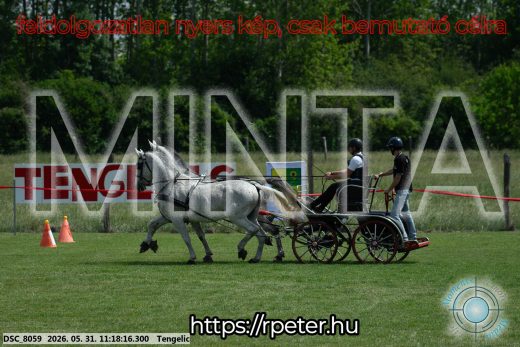 Mintakép 20260531-2914