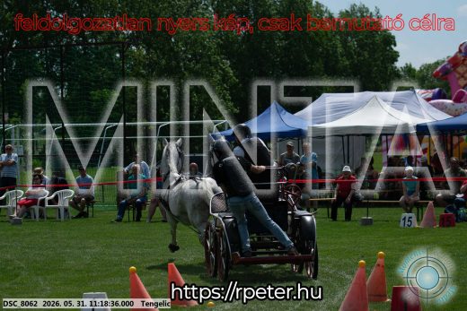 Mintakép 20260531-2917