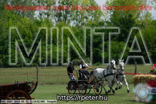 Mintakép 20260531-2920