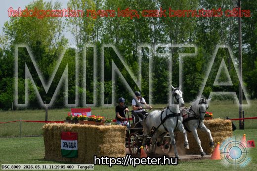 Mintakép 20260531-2921
