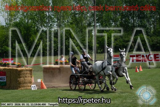Mintakép 20260531-2924