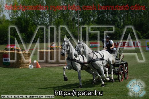 Mintakép 20260531-2925