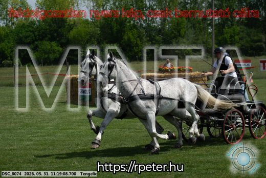 Mintakép 20260531-2926
