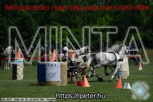 Mintakép 20260531-2928