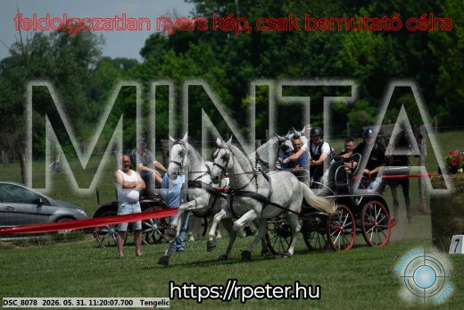 Mintakép 20260531-2929