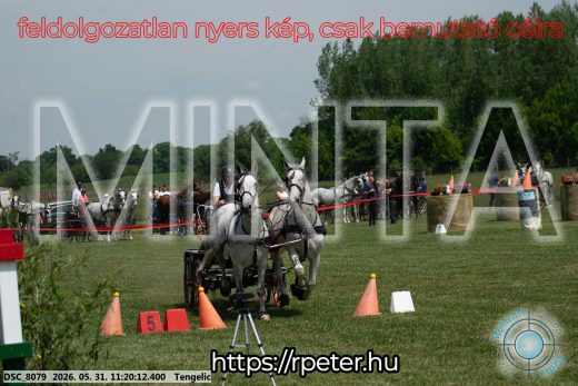 Mintakép 20260531-2930