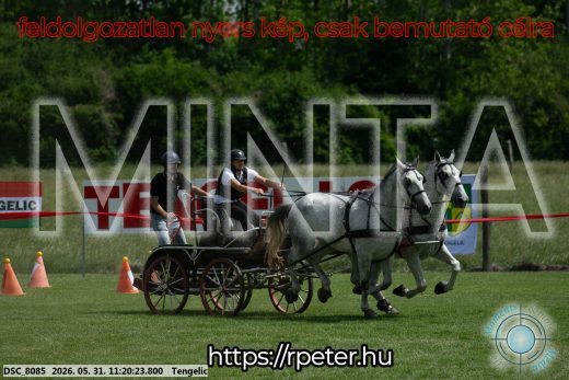 Mintakép 20260531-2935