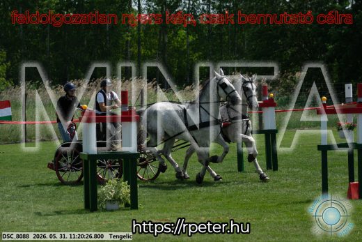 Mintakép 20260531-2938