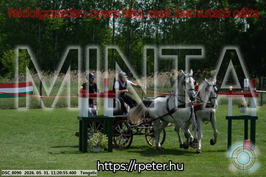 Mintakép 20260531-2939
