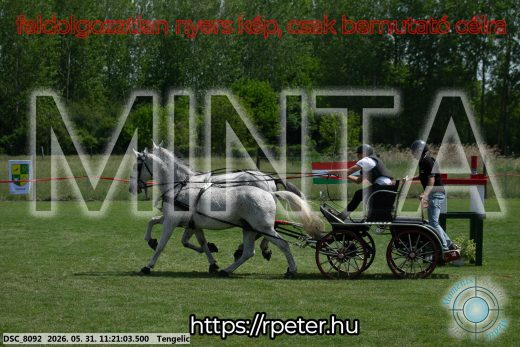 Mintakép 20260531-2941