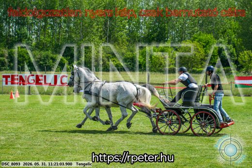 Mintakép 20260531-2942