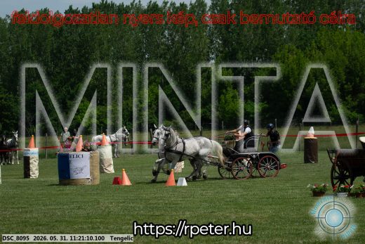 Mintakép 20260531-2944