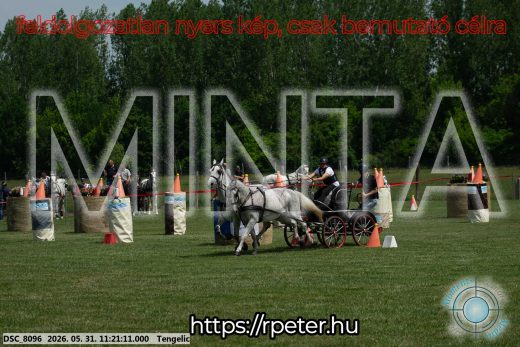 Mintakép 20260531-2945