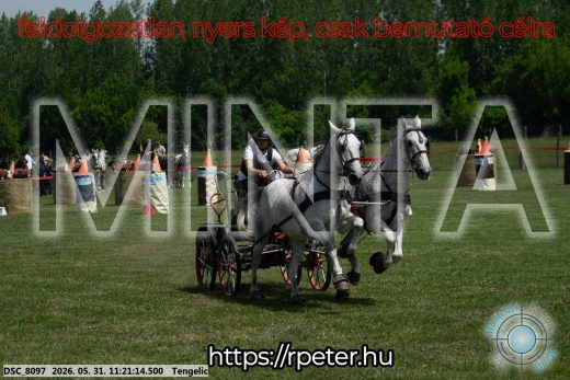 Mintakép 20260531-2946