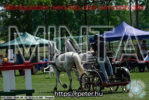 Mintakép 20260531-2949