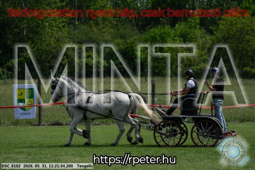 Mintakép 20260531-2950